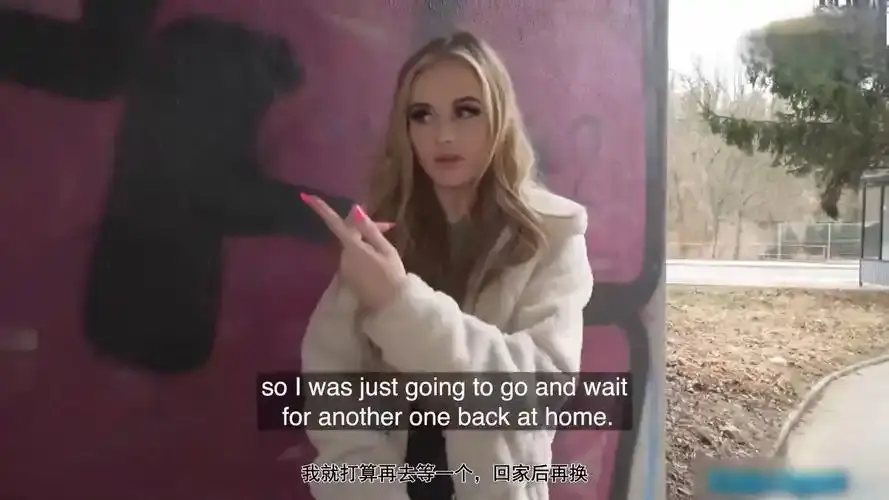《捷克街头》