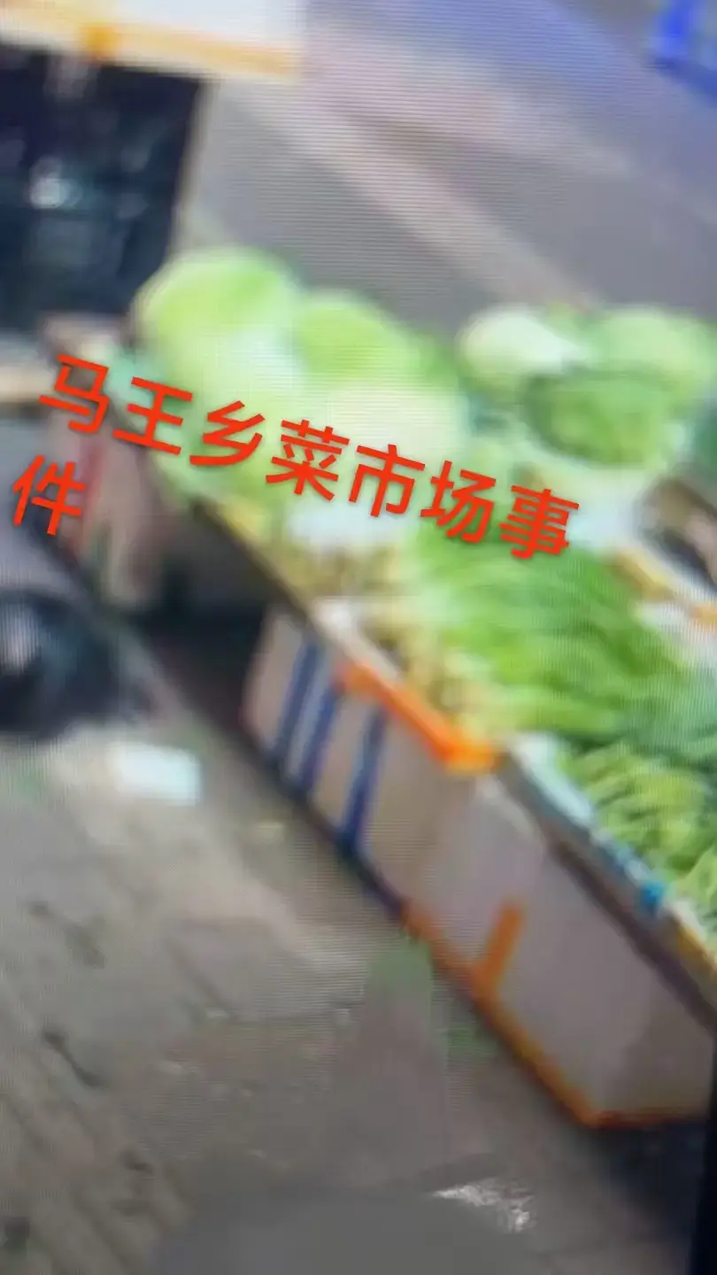《重庆马王乡菜市场事件》一手视频曝光，高清HD无广告播放，附关键节点时间标记，在线观看重庆马王乡菜市场事件不卡顿！