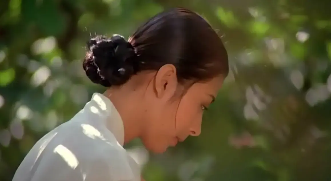 《桑叶》