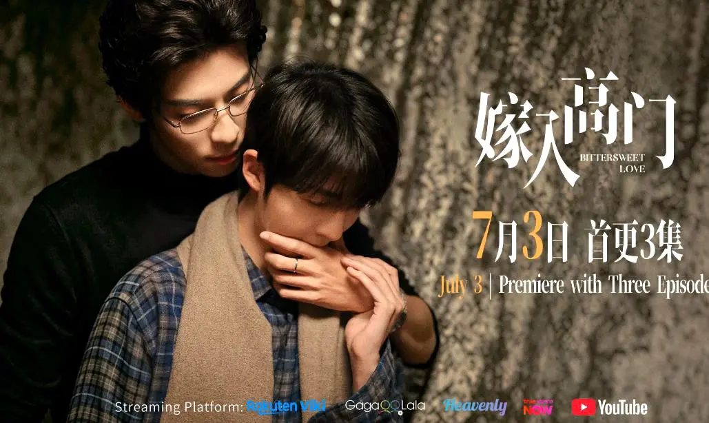 2026新剧双男主爱情剧《嫁入高门的男人》22集全季HD高清免费看-《嫁入高门的男人》纯净极速在线观看